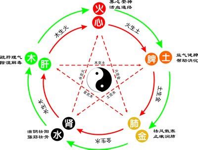 怡五行屬性|怡字的五行属性是什么